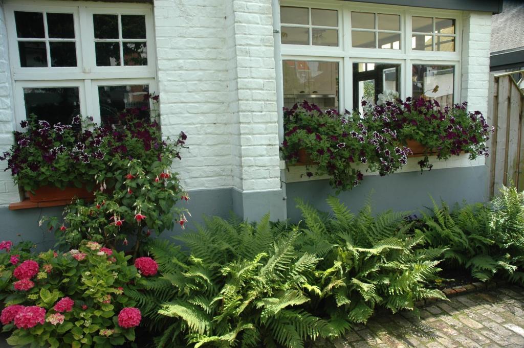 B&B Le Maquis De Haan Exterior photo